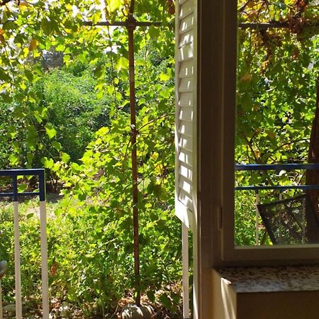 טרוגיר Apartment And Rooms Laguna מראה חיצוני תמונה